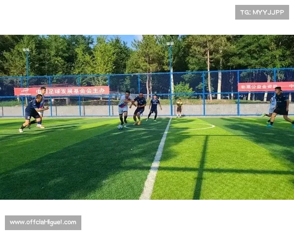 足球助力社会公益与社区发展新格局的构建与实践